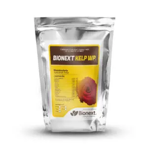 BIONEXT KELP WP®
