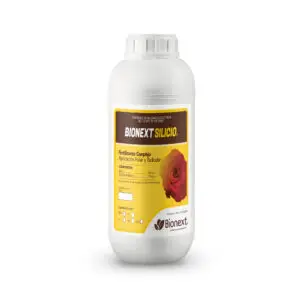 BIONEXT SILICIO®