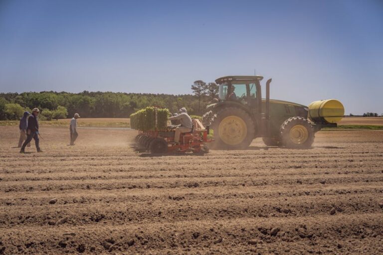 Ingeniero agrónomo asesorando a productor en finca de Imbabura