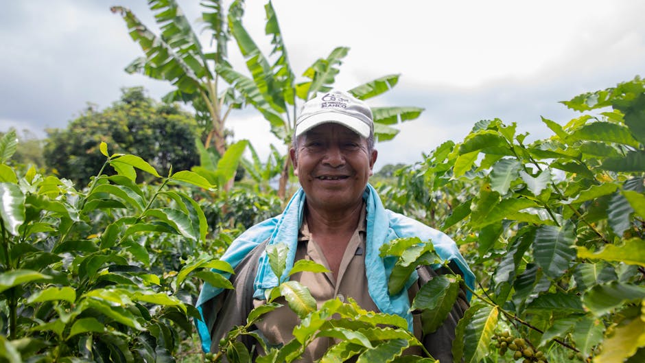 Productor ecuatoriano recibiendo asesoría técnica especializada