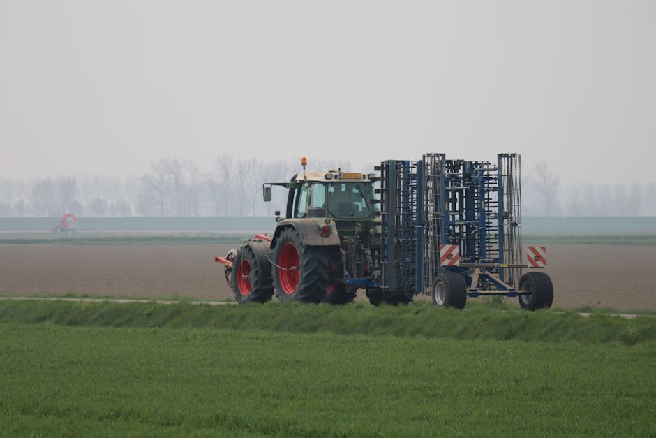 Aplicación de cal agrícola en suelo de sierra