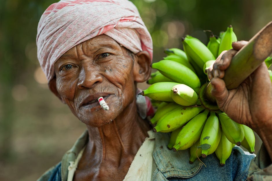Cosecha de banano en finca ecuatoriana