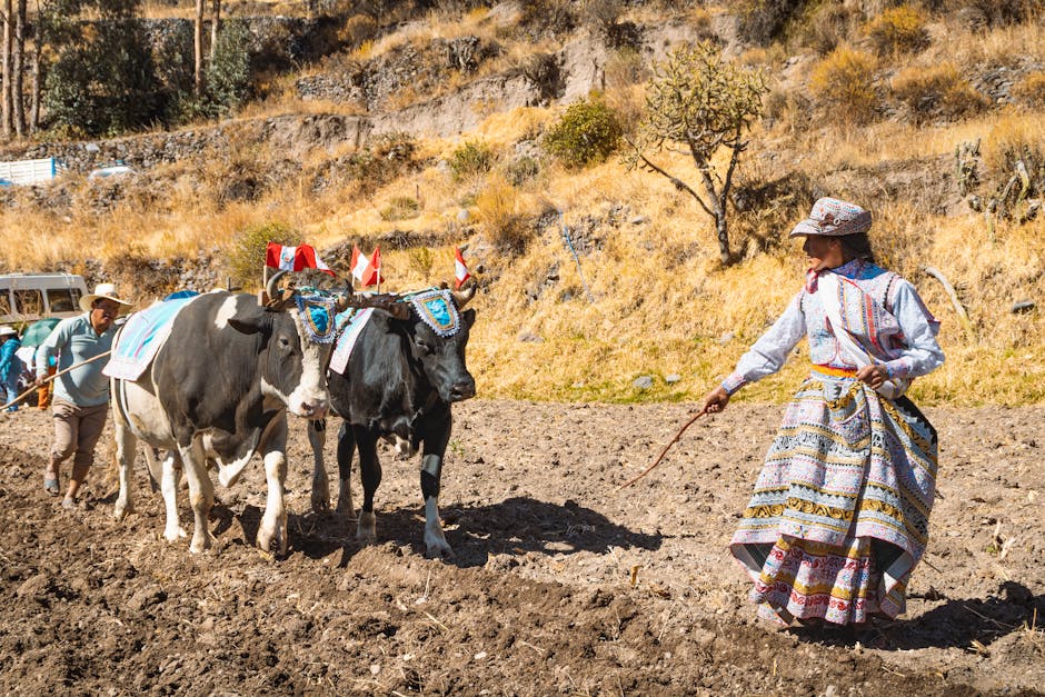Investigación agronómica adaptada a suelos ecuatorianos