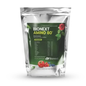 BIONEXT AMINO 80 — Aminoácidos en Polvo | Bionext Ecuador
