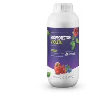 BIONEXT BIOPROTECTOR VIOLETA — Biocida de Amplio Espectro | Bionext Ecuador
