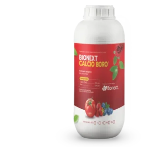 BIONEXT CALCIO BORO — Quelato Líquido | Bionext Ecuador