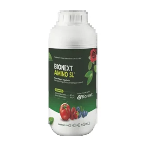 Envase de BIONEXT AMINO SL