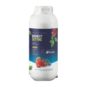 Envase de BIONEXT SETTING